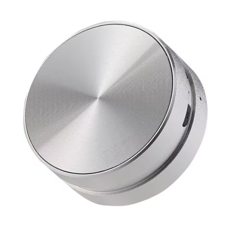 The WallSurf™ Speaker